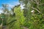 69E Chamberlain Road, Karori, Wellington - Carousel 4