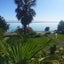 868 Atawhai Drive, Marybank, Nelson - Carousel 6