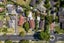 105 Wattle Farm Road, Wattle Downs, Auckland - Carousel 22