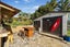 2 Alexander Avenue, Maraetai, Auckland - Carousel 21