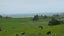 963 Arapohue Road, Arapohue, Dargaville - Carousel 20