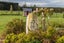 762 Maddisons Road, Christchurch - Carousel 24