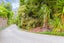 20E Konini Road, Titirangi, Auckland - Carousel 19