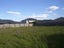 11 Date Crescent, Aidanfield, Christchurch - Carousel 10