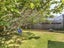 79A Ira Street, Miramar, Wellington - Carousel 10