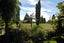 83 Springfield Road, Springfield, Rotorua - Carousel 15