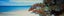 418 Sea View Road, Onetangi, Waiheke Island - Carousel 4