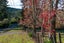 360 Ness Valley Road, Papakura - Carousel 19