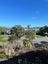 177A Townsend Road, Miramar, Wellington - Carousel 8