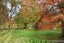 806 Waerenga Road, Waerenga - Carousel 5