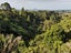 497 Joyce Road, Pyes Pa, Tauranga - Carousel 3