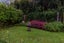 24 Ellice Road, Totara Vale, Auckland - Carousel 12