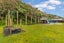 199 Major Drive, Kelson, Lower Hutt - Carousel 4