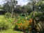 880 Collingwood-Bainham Main Road, Rockville, Collingwood - Carousel 16