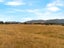 33 Flax Cutter Lane, Greytown, South Wairarapa - Carousel 3
