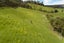 641 Ararimu Valley Road, Helensville - Carousel 19