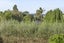 51A Totara Road, Te Atatu Peninsula, Auckland - Carousel 13
