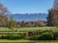 22 Lees Pakaraka Road, Te Ore Ore, Masterton - Carousel 11