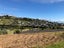 28 Torsby Road, Coopers Beach, Coopers Beach - Carousel 4