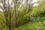 25B Euston Road, Wilton, Wellington - Carousel 19