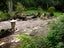 78E Greenslade Road, Raglan, Raglan - Carousel 25