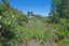 21 Eden Terrace, Onetangi, Waiheke Island - Carousel 4