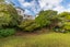 119 Totara Road, Miramar, Wellington - Carousel 15