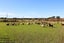 177 Underhill Road, Featherston - Carousel 15
