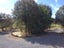 53 Kingi Road, Kawakawa - Carousel 9