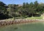 75 Makora Avenue, Oneroa, Waiheke Island - Carousel 17
