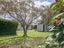 3 Papawai Road, Greytown - Carousel 3