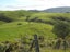 4 Van Der Velden Way, Horokiwi, Wellington - Carousel 3
