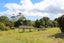 289 State Highway 10, Cable Bay, DOUBTLESS BAY - Carousel 6
