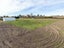112 Smithfield Road, Elgin, Ashburton - Carousel 5