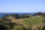 40 Tiri Road, Oneroa, Waiheke Island - Carousel 2