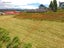 56 BERT WALL DRIVE, Omokoroa, Western Bay Of Plenty - Carousel 12
