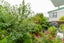 1/3 Terrys PL, Kelson, Lower Hutt - Carousel 19