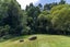 32 Icarus Place, Sunnybrook, Rotorua - Carousel 19
