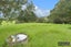 684 Marua Road, Hikurangi, Hikurangi - Carousel 24