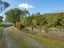 315 Ohauiti Road, Ohauiti, Tauranga - Carousel 20