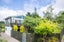 25 Cotton Street, Saint Johns, Auckland - Carousel 2