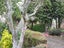 78 Acacia Road, Lake Okareka, Rotorua - Carousel 10