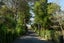 1 Montecillo Lane, Mornington, Dunedin - Carousel 19