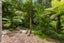 223 Godley Road, Titirangi, Auckland - Carousel 17