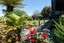 13A Himalaya Crescent, Lynfield, Auckland - Carousel 18