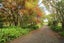 806 Waerenga Road, Waerenga - Carousel 6