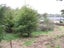 15C Tenby Street, Palmerston - Carousel 10
