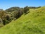 107 Taneatua Road, Whakatane, Whakatāne - Carousel 14
