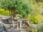 399 Karori Road, Karori, Wellington - Carousel 18