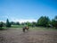 9 Racecourse Road, Omakau, Omakau - Carousel 19